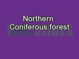 Northern Coniferous forest