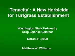 ‘Tenacity’: A New Herbicide for Turfgrass EstablishmentMatth