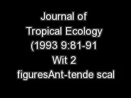Journal of Tropical Ecology (1993 9:81-91 Wit 2 figuresAnt-tende scal