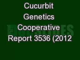 Cucurbit Genetics Cooperative Report 3536 (2012
