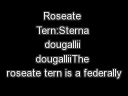 Roseate Tern:Sterna dougallii dougalliiThe roseate tern is a federally