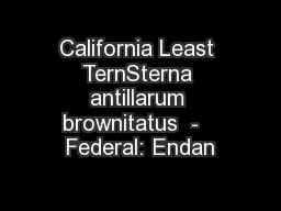 California Least TernSterna antillarum brownitatus  -   Federal: Endan