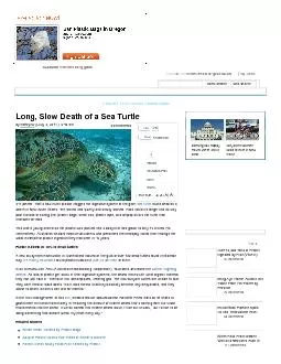 PDF- !"\n#	\n thumbnail