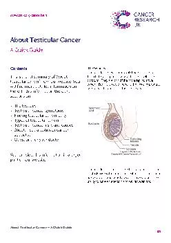 About Testicular Cancer