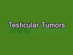 Testicular Tumors