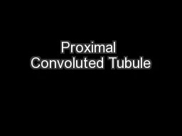 Proximal Convoluted Tubule