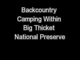Backcountry Camping Within Big Thicket National Preserve