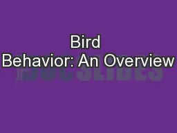Bird Behavior: An Overview
