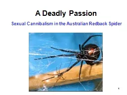 1 A Deadly Passion