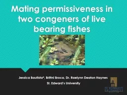 Mating permissiveness in two congeners of live bearing fish