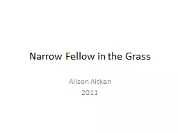 Narrow Fellow in the Grass