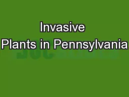 Invasive Plants in Pennsylvania