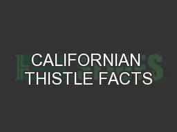 CALIFORNIAN THISTLE FACTS