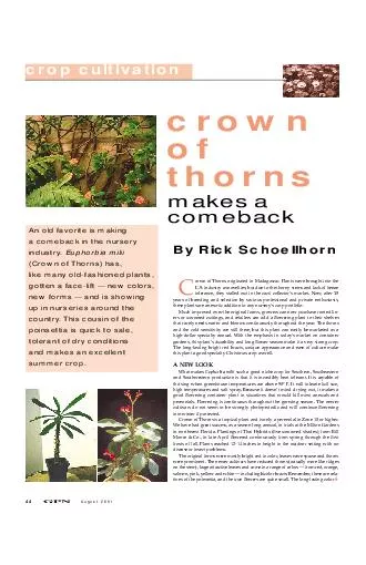 rown of Thorns originated in Madagascar. Plants were brought into theU