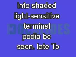 hiding and into shaded light-sensitive terminal podia be seen. late To
