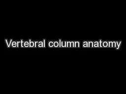 Vertebral column anatomy