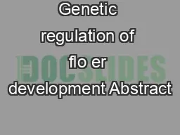 Genetic regulation of flo er development Abstract