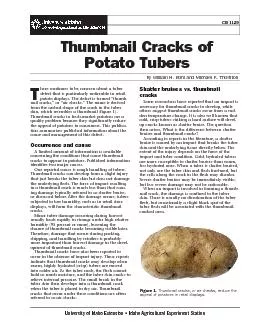 Potato Tubersby William H. Bohl and Michael K. Thornton