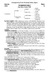 Consigned by Three Chimneys Sales,AgentTHUNDEROUSLYBay Mare;foaled 199