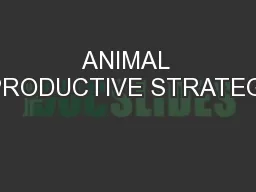 ANIMAL REPRODUCTIVE STRATEGIES