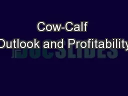 Cow-Calf Outlook and Profitability