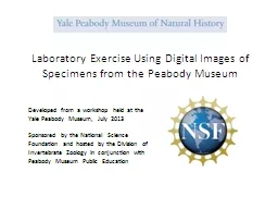 Laboratory Exercise Using Digital Images of Specimens from