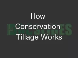 How Conservation Tillage Works