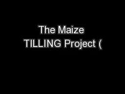 The Maize TILLING Project (
