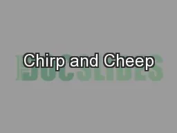 Chirp and Cheep
