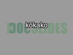 kōkako