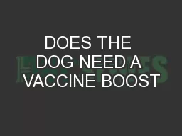 DOES THE DOG NEED A VACCINE BOOST