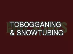TOBOGGANING & SNOWTUBING
