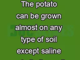 Potato Soil  Clim ate Soil The potato can be grown almost on any type of soil except saline
