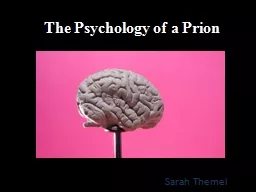 The Psychology of a