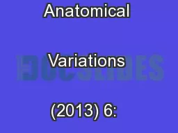 International Journal of Anatomical Variations (2013) 6:  173–
..