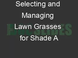 Selecting and Managing Lawn Grasses for Shade A