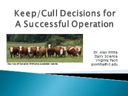 Keep/Cull Decisions for A Successful Operation