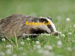 Badger Cull