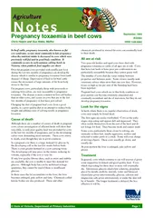Pregnancy toxaemia in beef cowsChris Halpin and Sue Hides, MaffraAG038