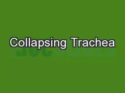 Collapsing Trachea