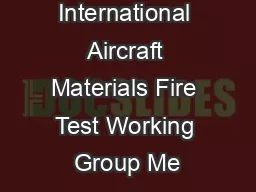 International Aircraft Materials Fire Test Working Group Me