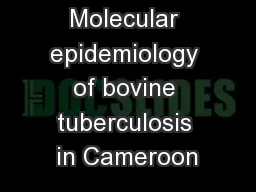 Molecular epidemiology of bovine tuberculosis in Cameroon