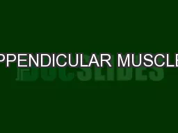 APPENDICULAR MUSCLES