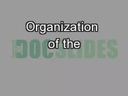 Organization of the