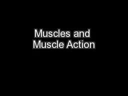 Muscles and Muscle Action