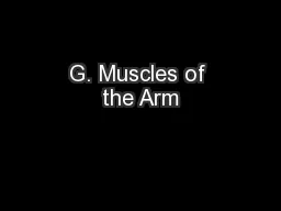 G. Muscles of the Arm