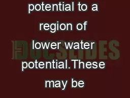 gher water potential to a region of lower water potential.These may be
