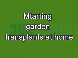 Mtarting garden transplants at home