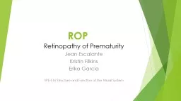 ROP Retinopathy of Prematurity