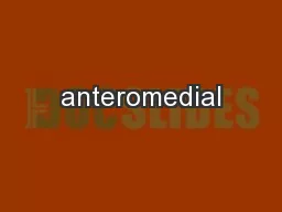 anteromedial